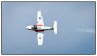 Vintage Wings of Canada