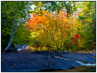 Landscapes