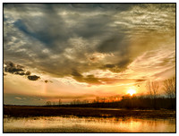 Landscapes
