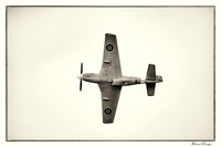Vintage Wings of Canada