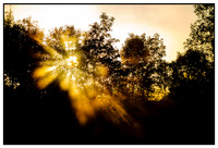 Landscapes