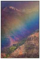 True Colours