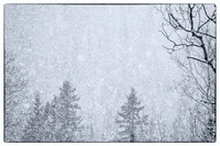 Landscapes