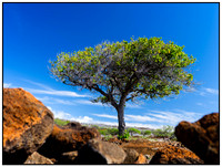 Hawaii 2013