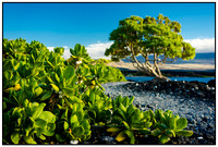 Hawaii 2013
